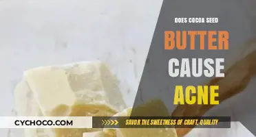 Unveiling the Truth: Cocoa Seed Butter's Impact on Acne-Prone Skin
