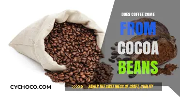 Unraveling the Mystery: Coffee Beans vs. Cocoa Beans