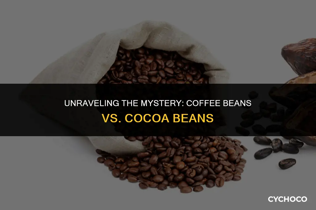 does coffee come from cocoa beans