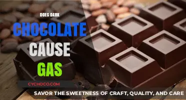 The Surprising Truth About Dark Chocolate and Gas: A Delicious Dilemma