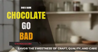The Shelf Life of Dark Chocolate: Does It Really Go Bad?