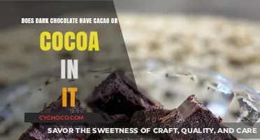 Unveiling the Richness: Cacao vs. Cocoa in Dark Chocolate