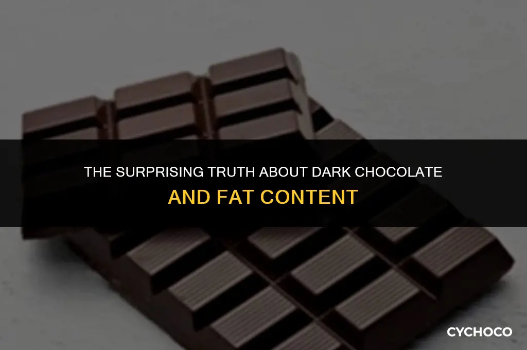 does dark chocolate have fat