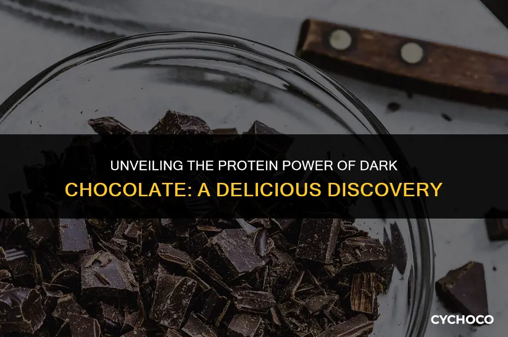 does dark chocolate have protein