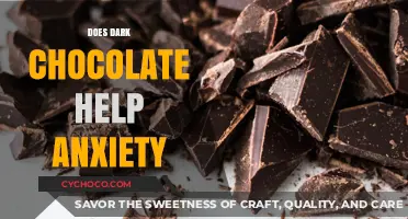 Sweet Relief: Exploring Dark Chocolate's Potential Anxiety Benefits