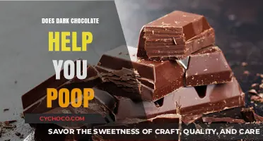 The Surprising Digestive Benefits of Dark Chocolate: A Sweet Relief?