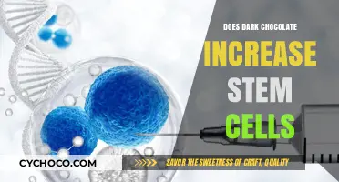 Dark Chocolate's Potential: Boosting Stem Cells for Health and Regeneration?