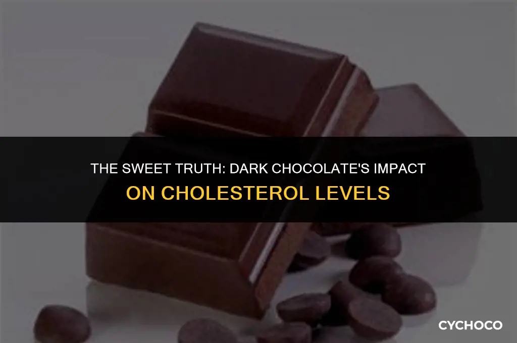 does dark chocolate raise cholesterol