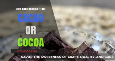 Unveiling the Richness: Cacao vs Cocoa in Dark Chocolate