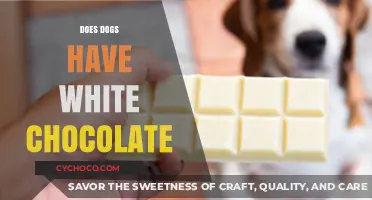 Can Dogs Enjoy White Chocolate? A Comprehensive Guide for Pet Owners