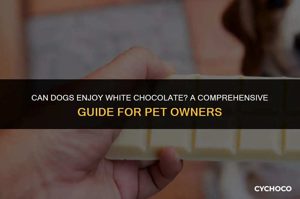 does dogs have white chocolate