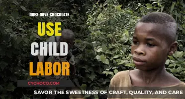 Unsweetened Truth: Child Labor Allegations in Dove Chocolate Supply Chain