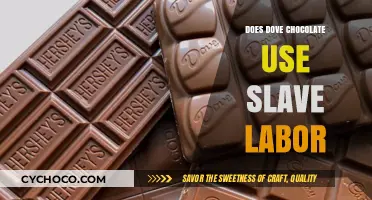Unsweetened Truth: Investigating Dove Chocolate's Labor Practices