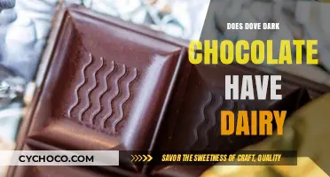 Does Dove Dark Chocolate Contain Dairy? A Comprehensive Guide