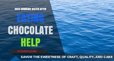Hydrate to Decode: The Surprising Truth About Water and Chocolate Cravings