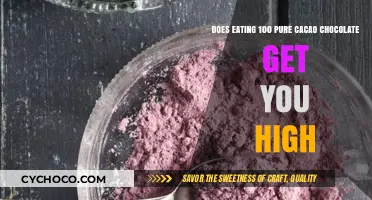 Exploring the Euphoric Effects of Pure Cacao Chocolate Consumption