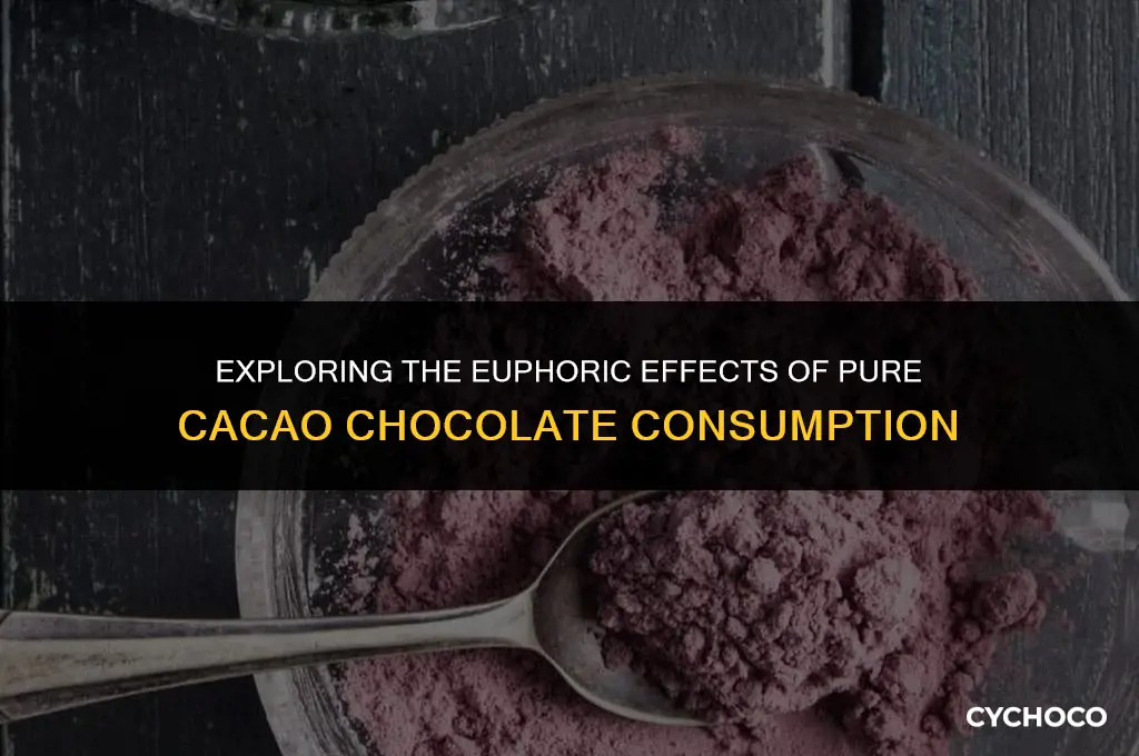 does eating 100 pure cacao chocolate get you high