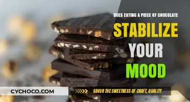 Sweet Relief: Can Chocolate Really Boost Your Mood?