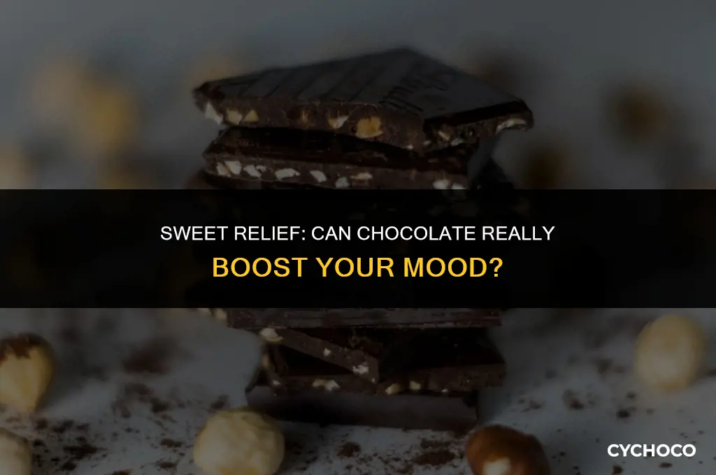 does eating a piece of chocolate stabilize your mood
