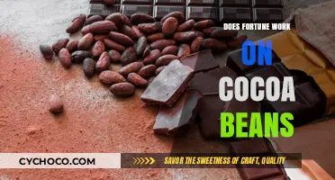 Unveiling the Mystery: Does Fortune Favor Cocoa Beans?