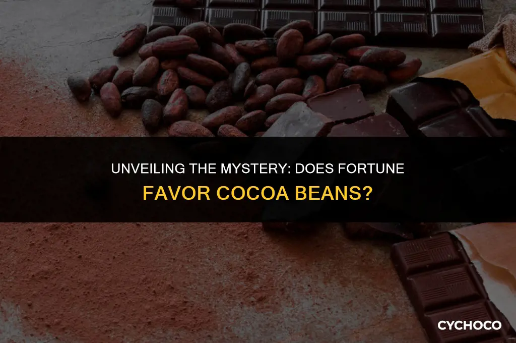 does fortune work on cocoa beans