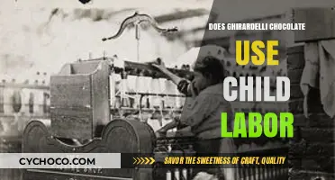 Unsweetened Truths: Ghirardelli's Chocolate and Child Labor Allegations