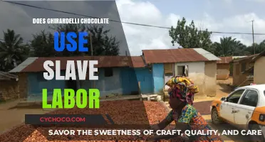 Unveiling the Truth: Ghirardelli's Chocolate and Labor Practices