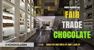Exploring Godiva's Chocolate Sourcing: Fair Trade Practices Unveiled