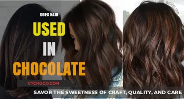 Exploring the Myth: Is Hair Really Used in Chocolate?