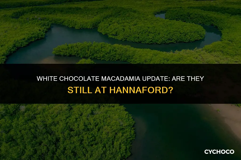 does hannaford still carry white chocolate and macadamia