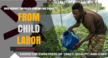 Ethical Cocoa Sourcing: Does Hershey's Chocolate Company Use Child Labor?