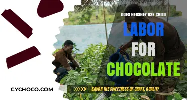 Unsweetened Truth: Hershey's Chocolate and Child Labor Allegations