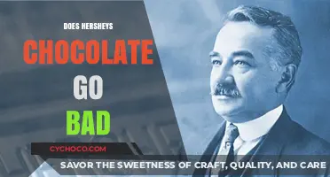 The Shelf Life of Hershey's Chocolate: Does it Go Bad?