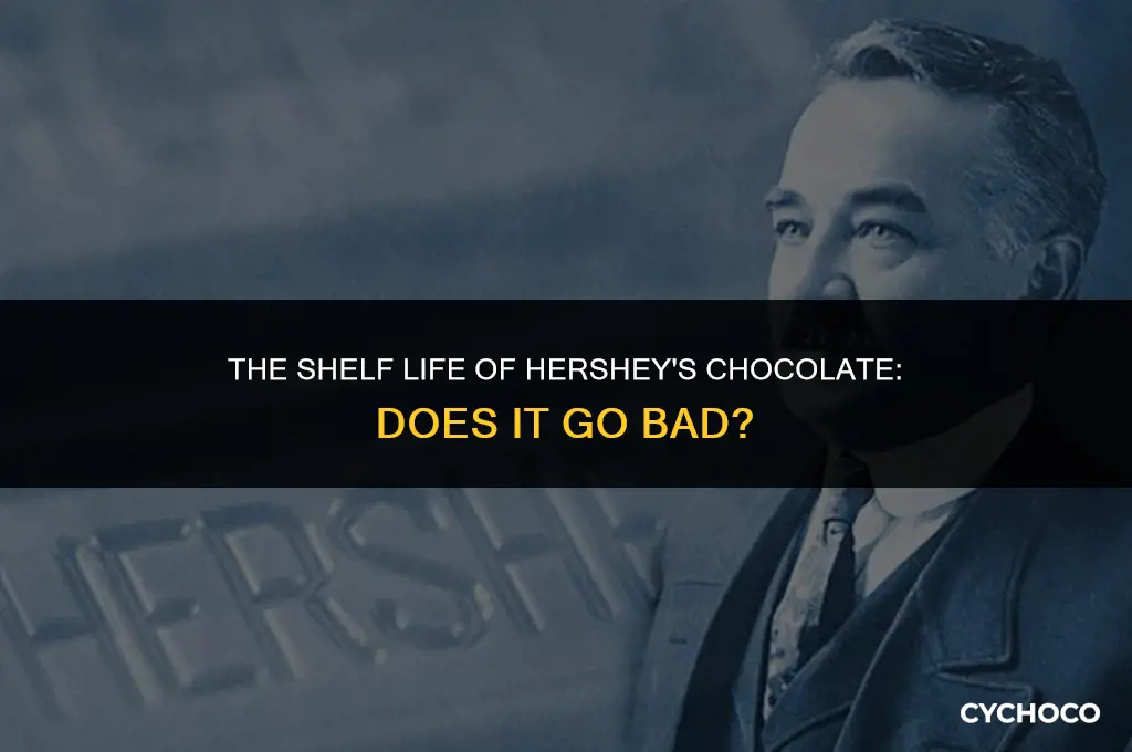 does hersheys chocolate go bad