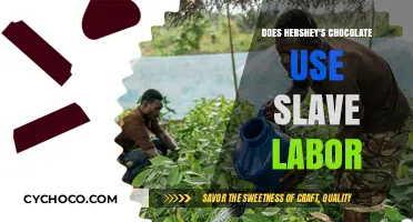 Unsweetened Truths: Hershey's Chocolate and the Slave Labor Controversy