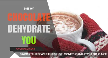 Sipping on Comfort: Does Hot Chocolate Dehydrate You?