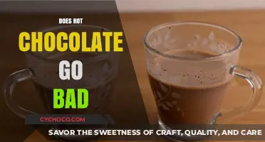 The Shelf Life of Comfort: Does Hot Chocolate Go Bad?