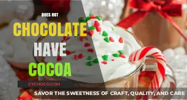 Exploring the Rich Connection: Hot Chocolate and Cocoa Unveiled
