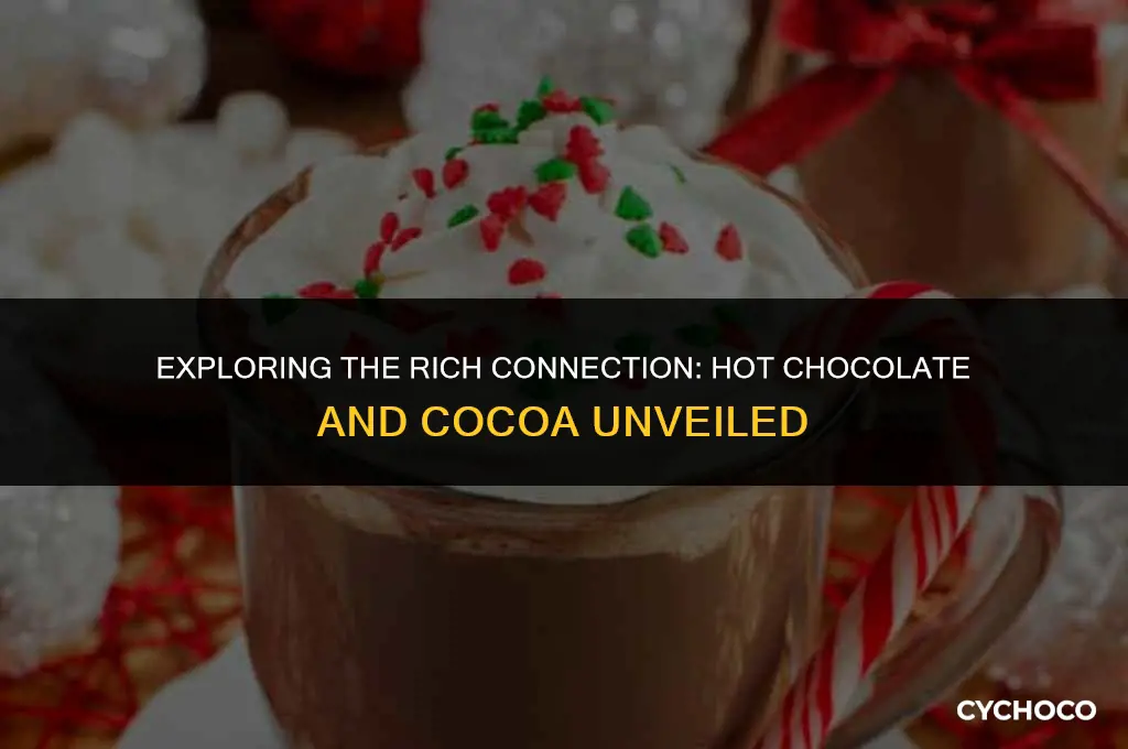 does hot chocolate have cocoa
