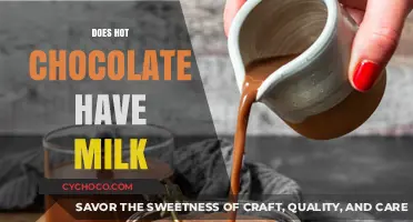 The Dairy Dilemma: Is Milk a Must in Hot Chocolate?