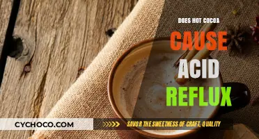 Sipping Comfort: Does Hot Cocoa Trigger Acid Reflux?