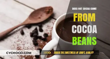Unveiling the Rich History: Does Hot Cocoa Originate from Cocoa Beans?
