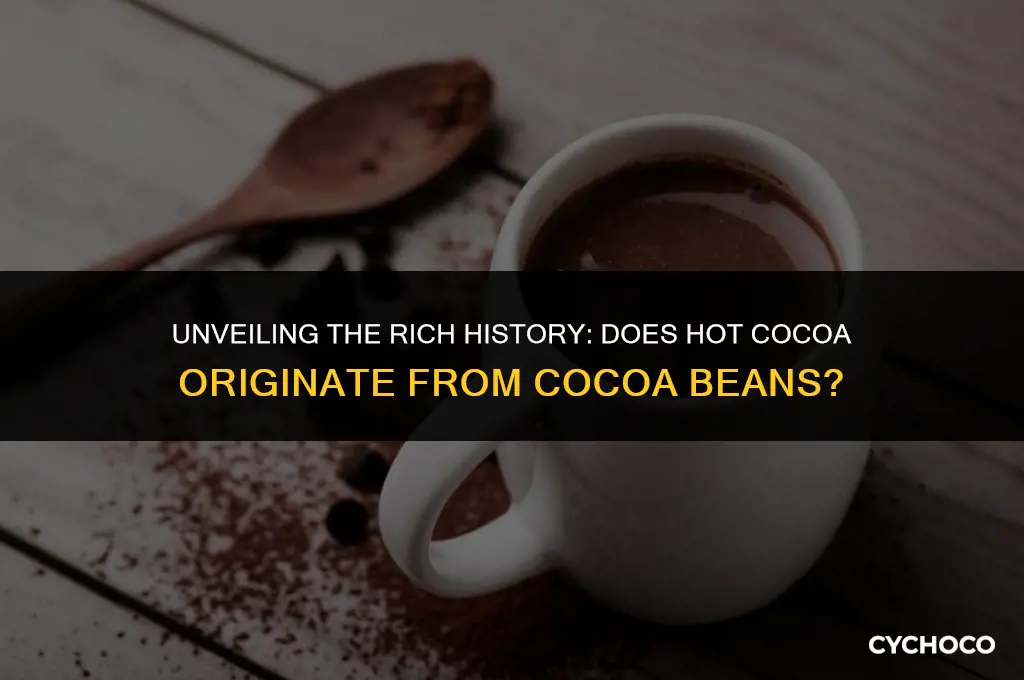 does hot cocoa come from cocoa beans