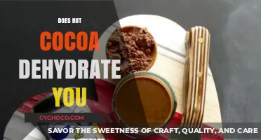 Sipping on Comfort: The Truth About Hot Cocoa and Hydration