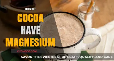 Sipping on Wellness: The Magnesium Connection in Your Hot Cocoa