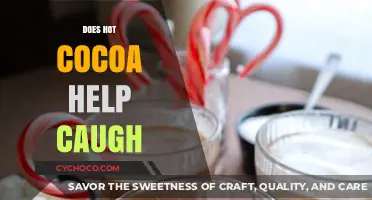 Soothe Your Cough with a Warm Cup of Cocoa: Fact or Fiction?