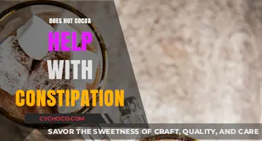 Hot Cocoa and Constipation: A Soothing Remedy or Myth?