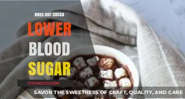 Sweet Relief: Exploring Hot Cocoa's Impact on Blood Sugar Levels