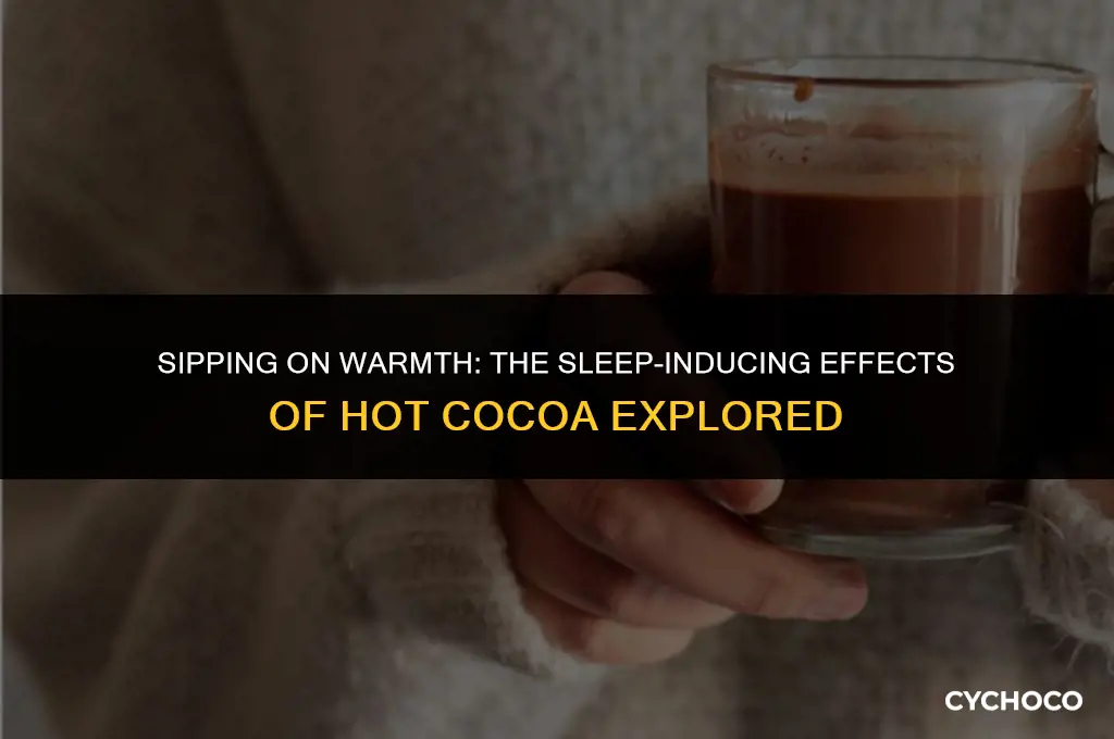 does hot cocoa make you sleep