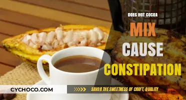 Unraveling the Myth: Hot Cocoa Mix and Constipation